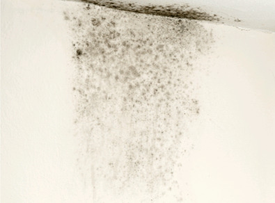 순천 주택 아파트 공장 결로검사 결로공사 시공업체