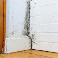 순천 주택 아파트 공장 결로검사 결로공사 시공업체-6106411