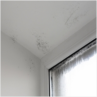 순천 주택 아파트 공장 결로검사 결로공사 시공업체-6106413